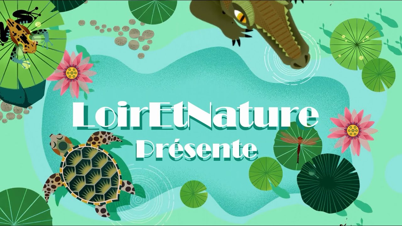 Les &eacute;ph&eacute;m&egrave;res, une esp&egrave;ce menac&eacute;e