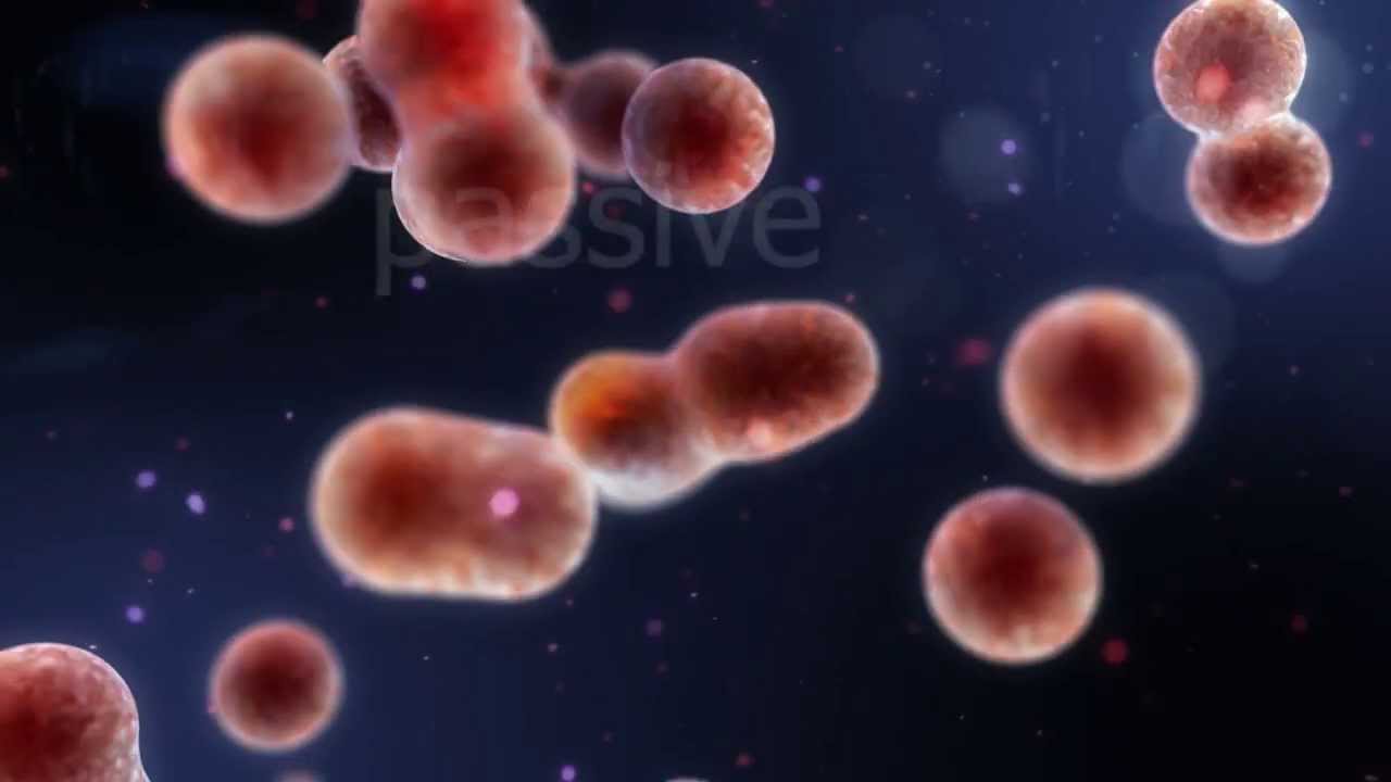 Inovio's Hope For Defeating Cancer
