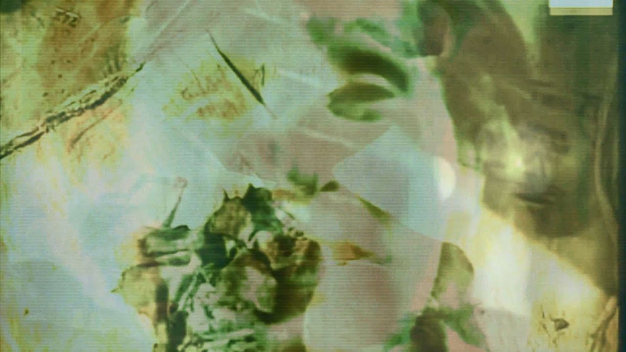Jihad - Degree of (Im)morality