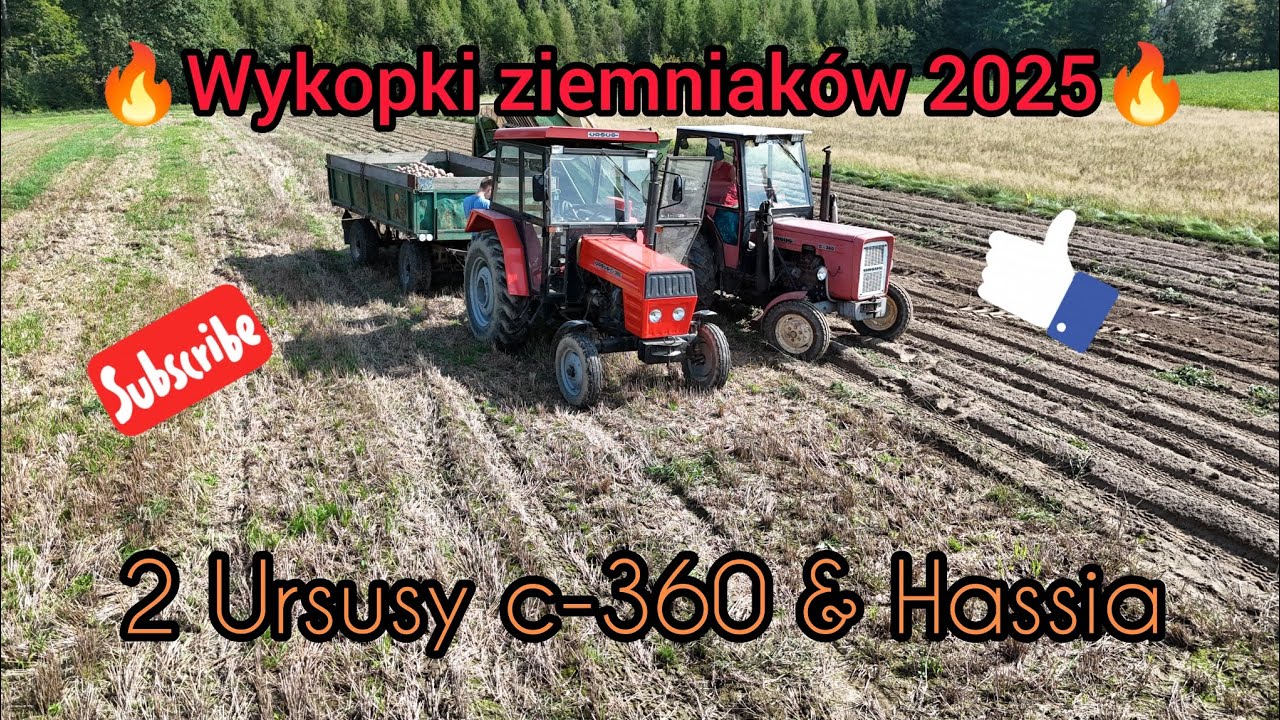🔥Wykopki ziemniaków z lotu ptaka🔥2 Ursusy c-360 & Hassia🔥