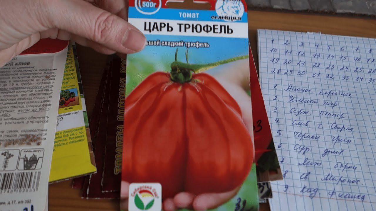 09.02.26 Замочила Семена 🍅ТОМАТОВ🍅 для Теплицы 36 СОРТОВ🍅🍅 Нижний Новгород