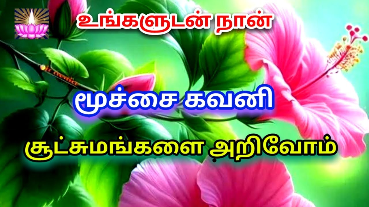 சித்தர்களின் மெய் வாழ்வியல் , மூச்சை கவனி , சூட்சுமங்களை அறிவோம் .
