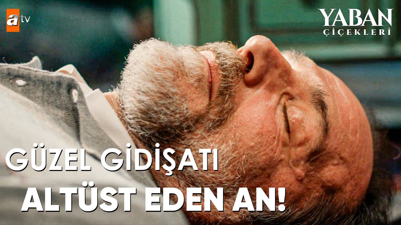 Her şey mükemmel gidiyor gibiydi… - Yaban Çiçekleri 1. Bölüm