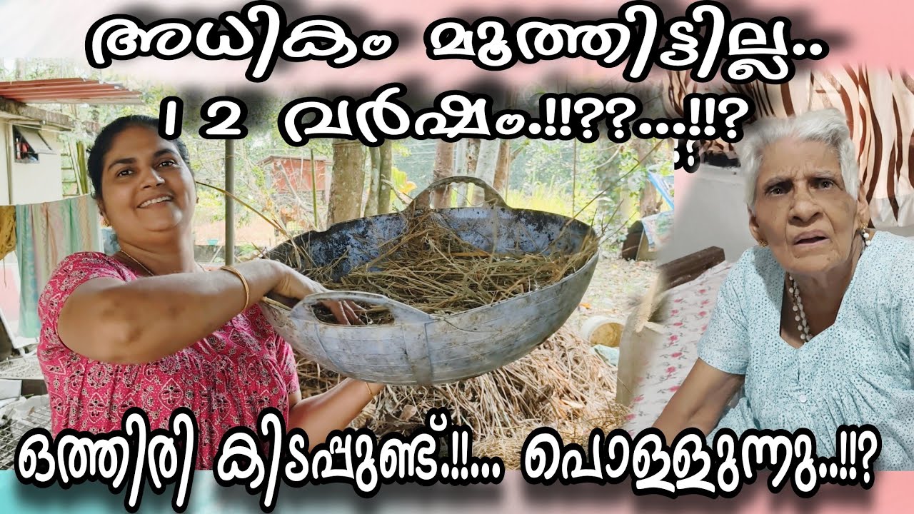 അധികം മൂത്തിട്ടില്ല.!! ഒത്തിരി കിടപ്പുണ്ട്',പൊള്ളുന്നു..!??#omallookaran #familyvlog #trendingvideo 