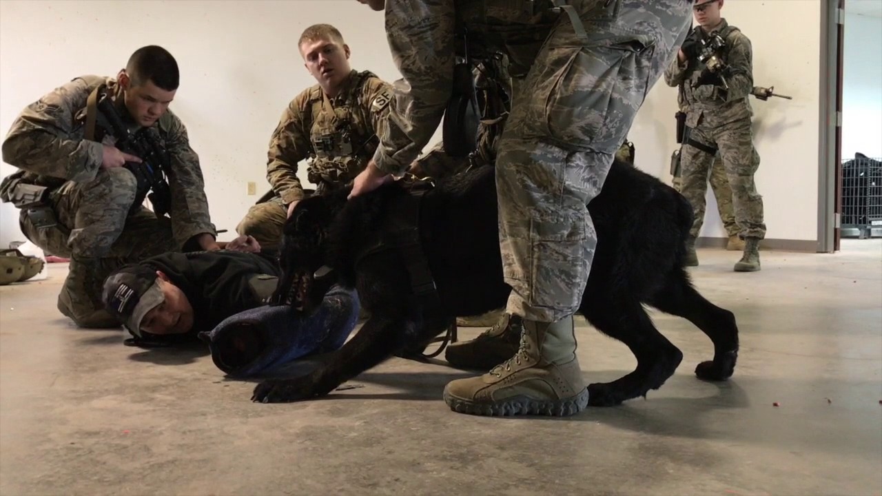 K9 Military & Law Enforcement Training