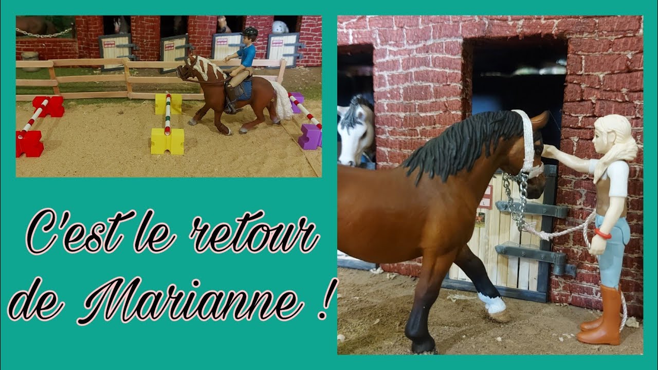 [Histoire Schleich] Cours de Saut et de gymnastique pour les chevaux !