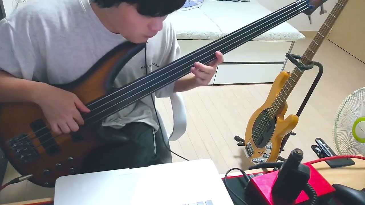 네 바이올린은 참 크구나! (ibanez srf700)