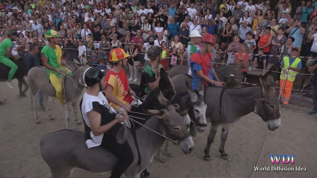 Laino Borgo: Speciale Palio Cu i Ciucci XXV edizione
