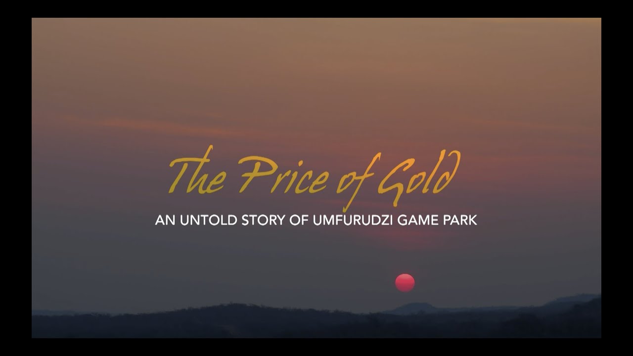 Illegal gold panning and mining along Mazowe River, near Umfurudzi Game Park.