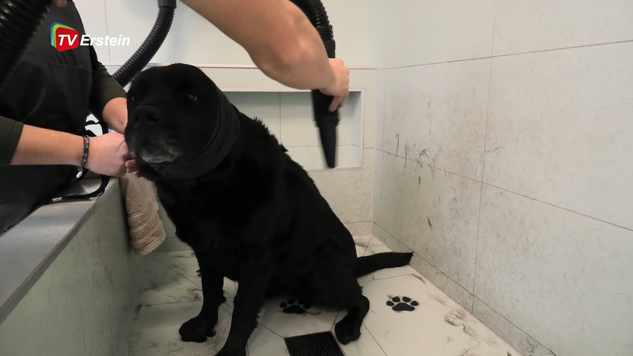 le troquet des poilus