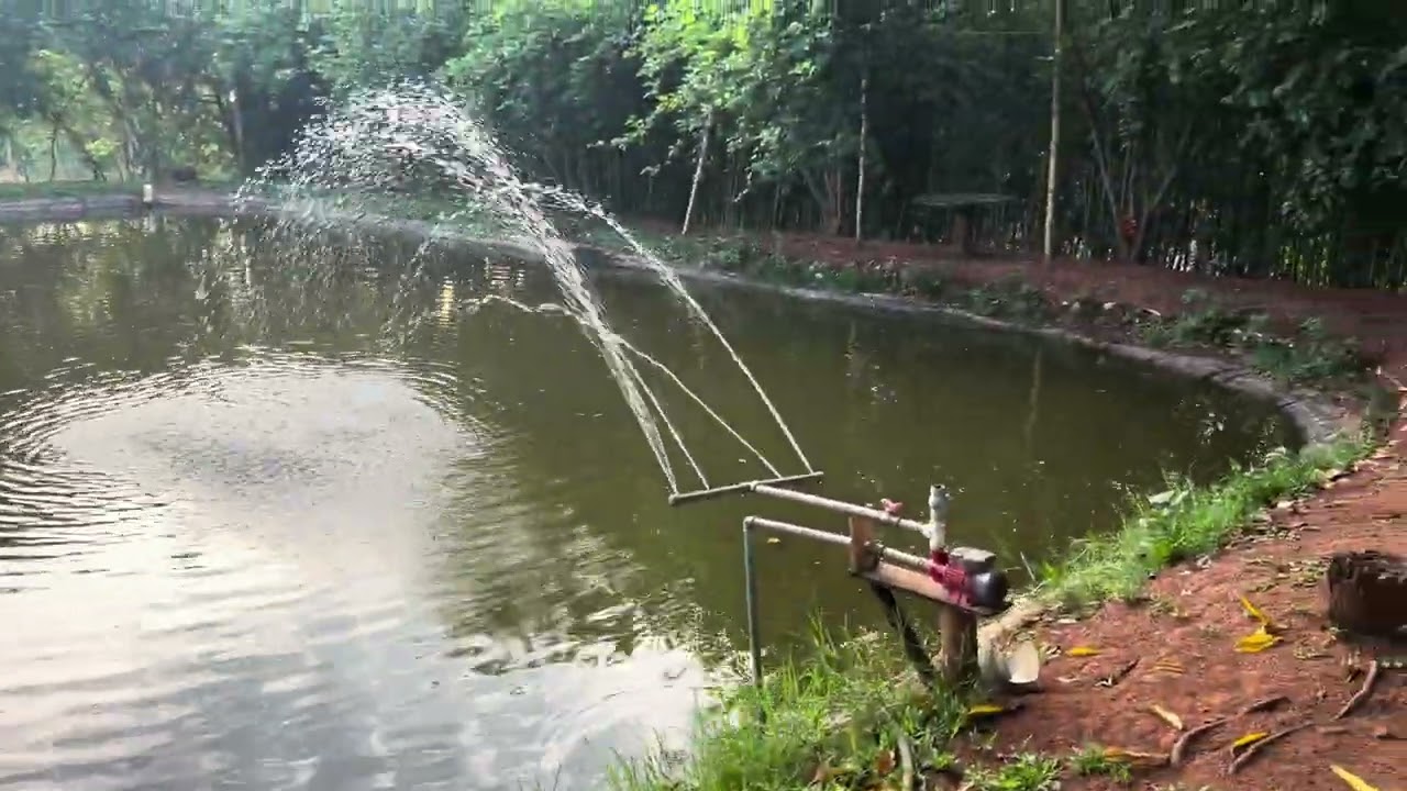 TAQUE DE PEIXES COM LONADE COBRI SILO olha só turma com tá nosso tanque 