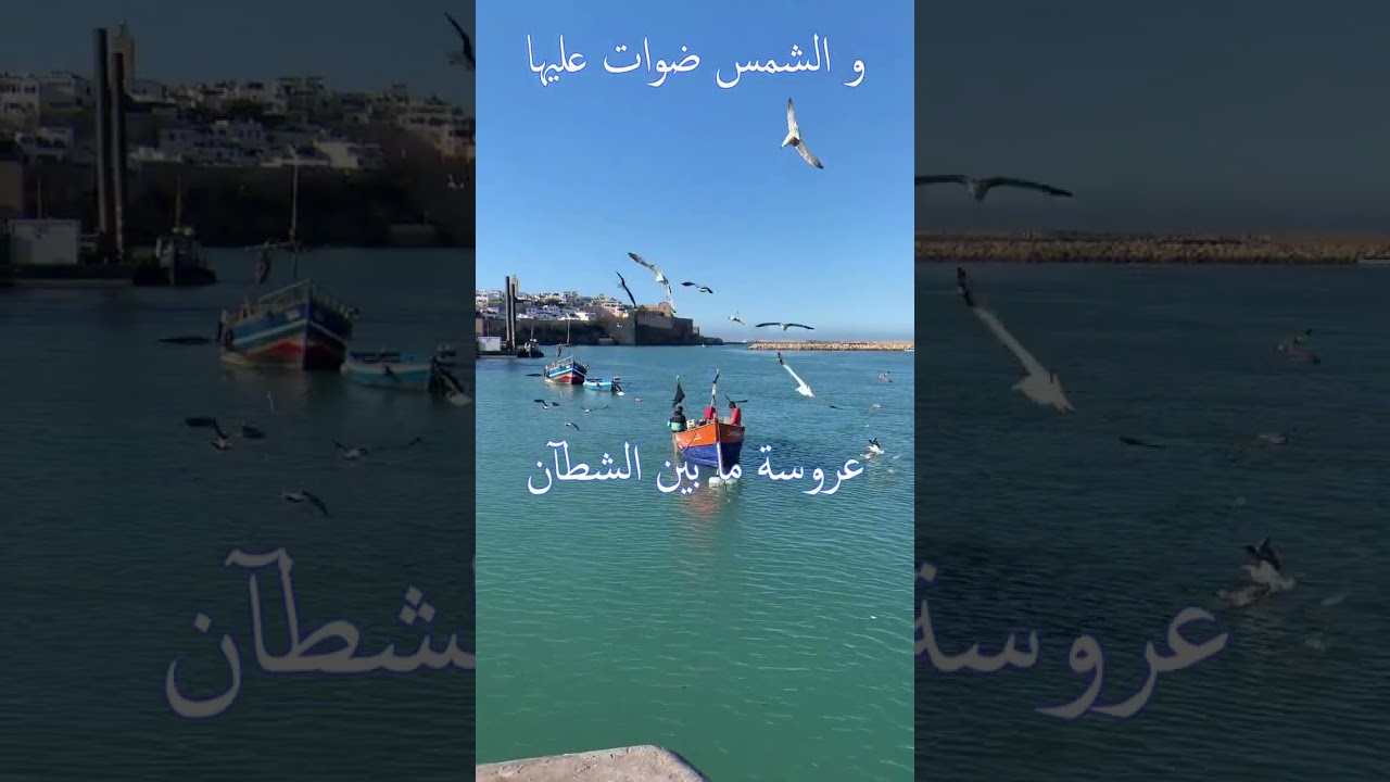 Bladi Ya Zin Boldan 🎤 بلادي يا زين البلدان
