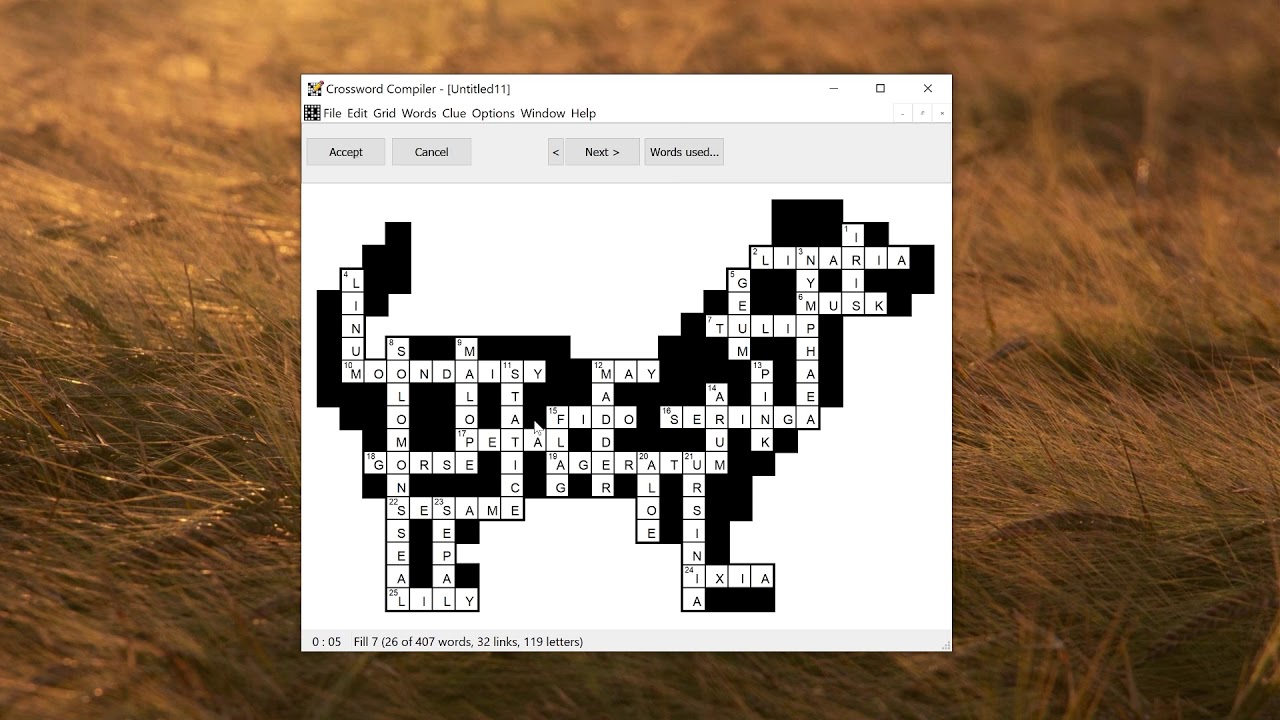 Creating vocabulary puzzles