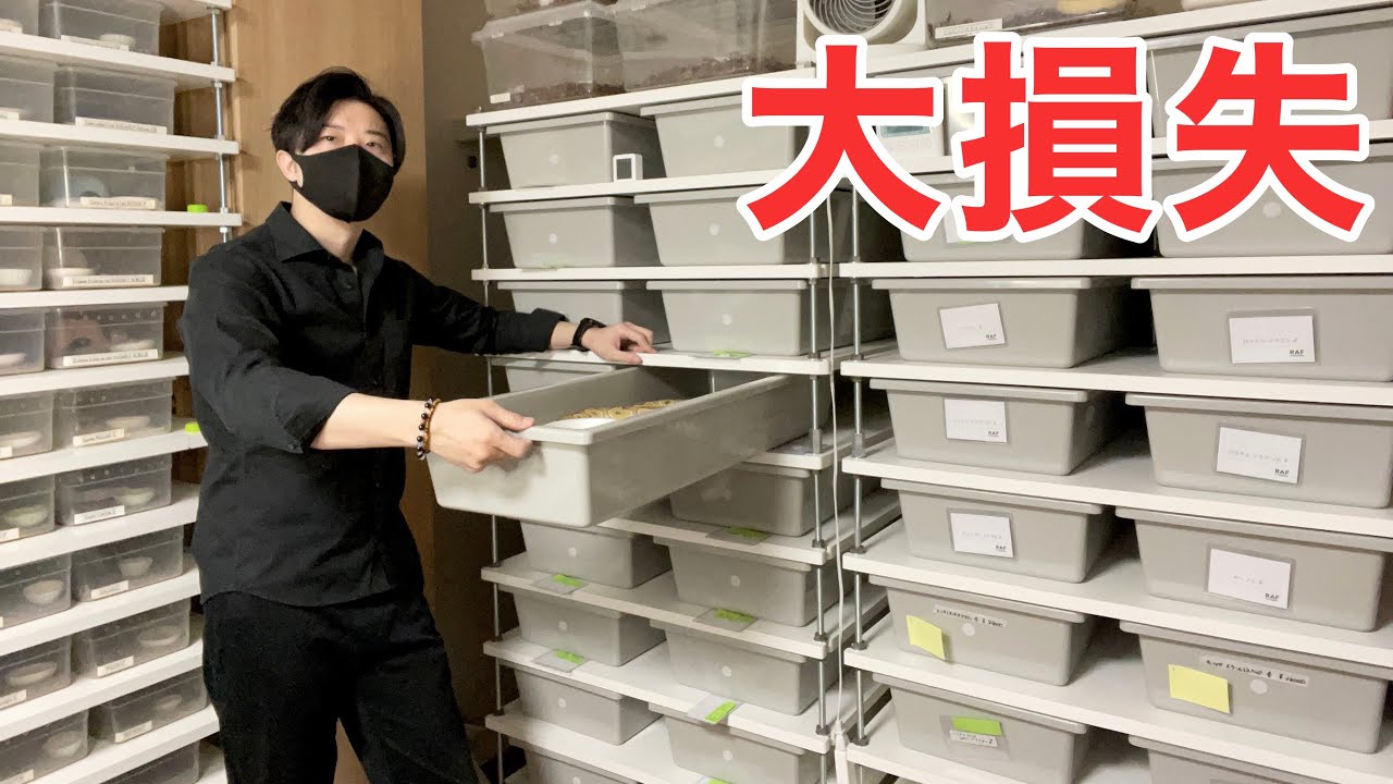 １年間で100万円以上失った男の再スタート