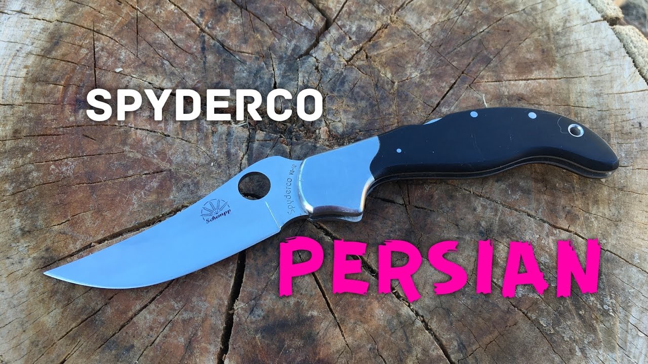Spyderco Persian Quick Look