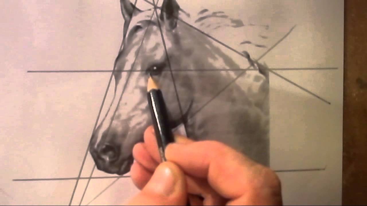 hoe teken je een paardenhoofd / dieren tekenen / #1