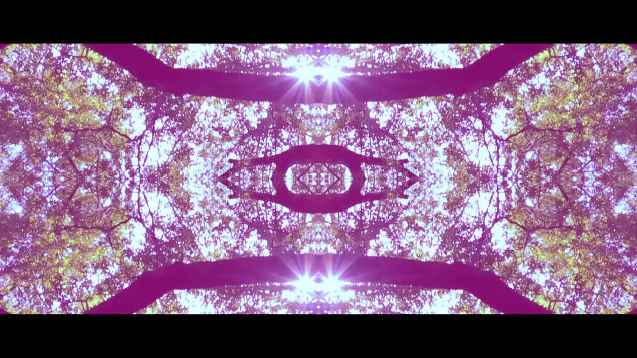 Jay Ant- Hot Box ft Dave Steezy (Official Music Video)