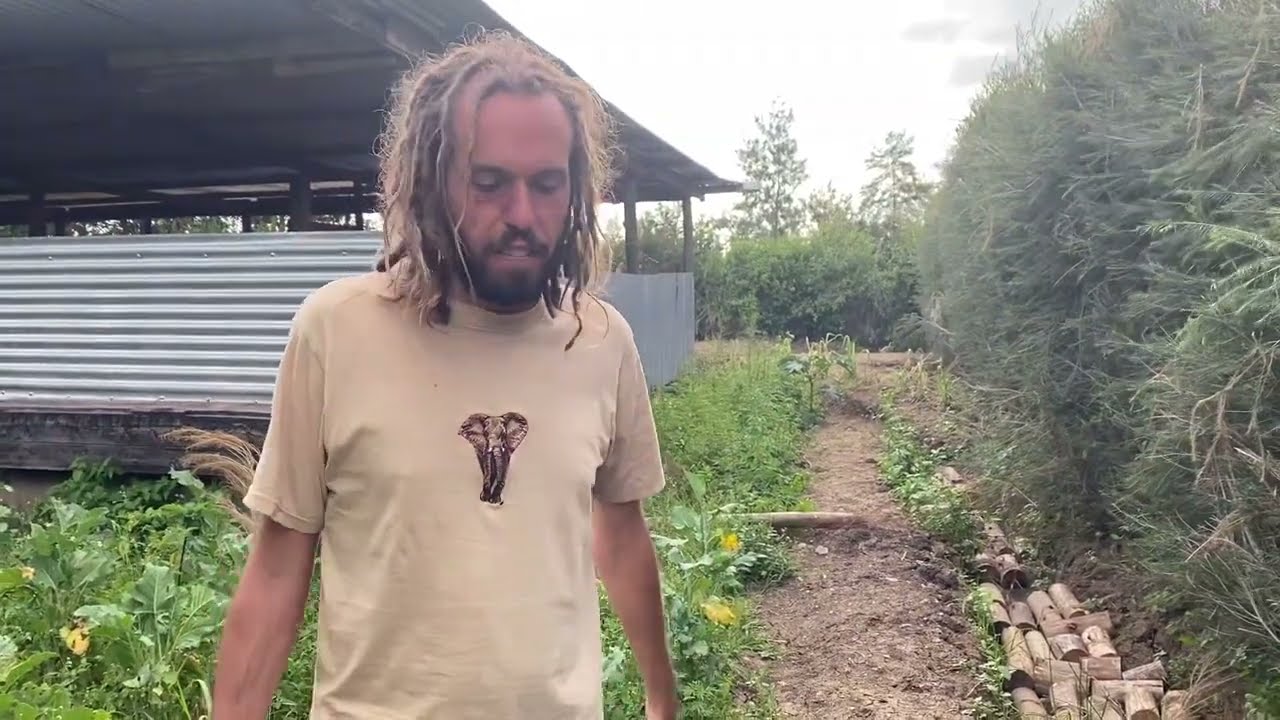 Kenyan Seedballs Trial