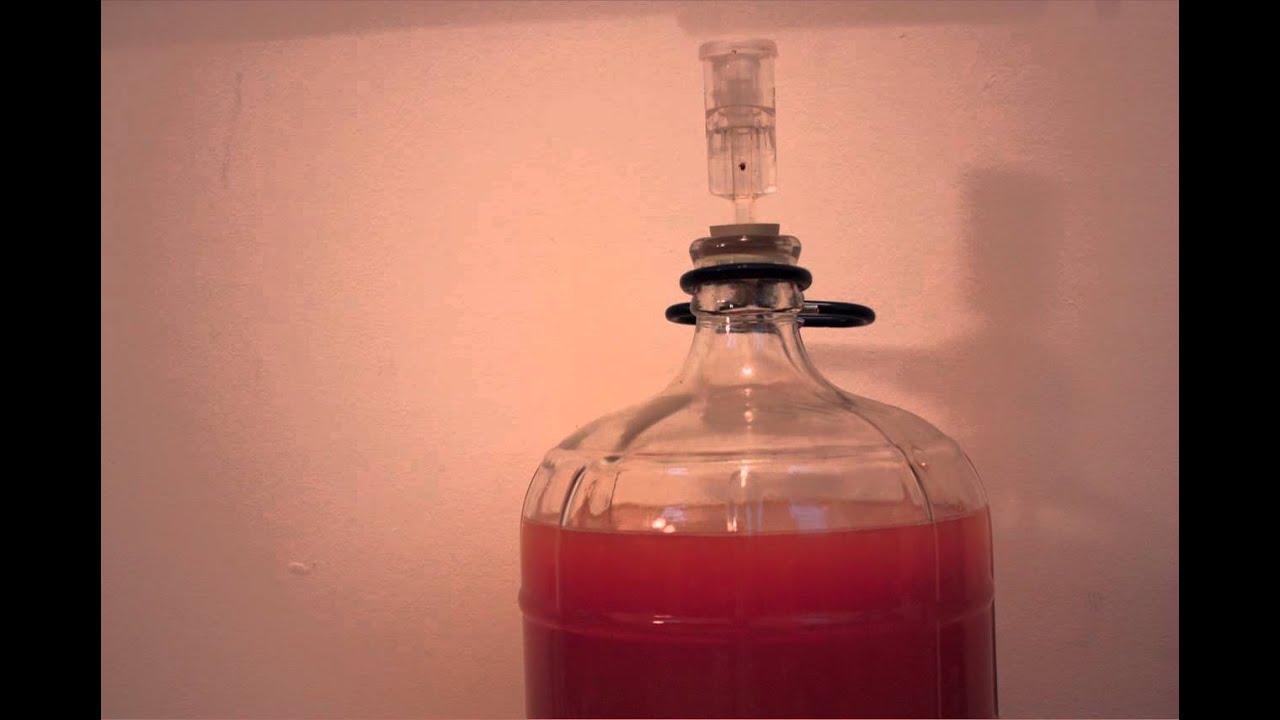 Timelapse of Cider Fermenting
