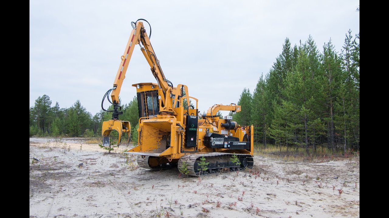LIGNUM Bandit 2090 TK (лето)