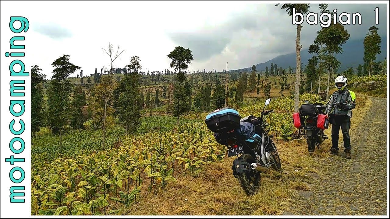 Perbatasan Antara Ladang, Hutan dan Gunung