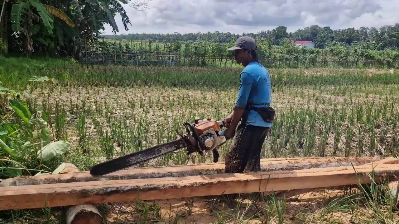 TRANSFORM YOUR WOOD CUTTING SKILLS WITH MODERN CHAINSAW TRICKS!-agriculture farming