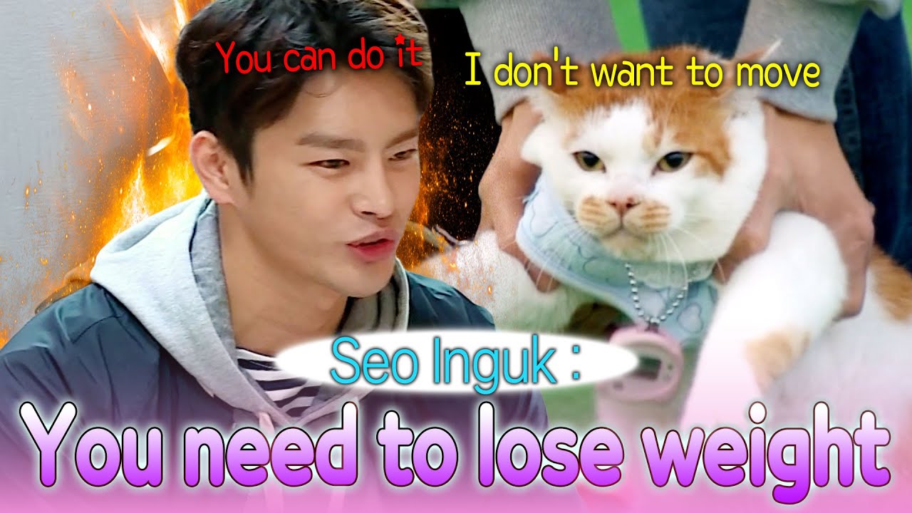 The Story of How Seo Ingukソイングク Became a Diet Coach 🤣🤣🤣