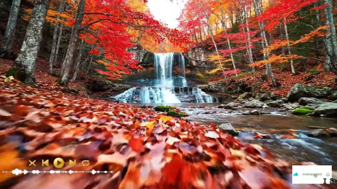 Relaxing Soft Rock Playlist-Michael BoltonEaglesPhil Collins- Almost Whole Try Again Tomorro Ver 1
