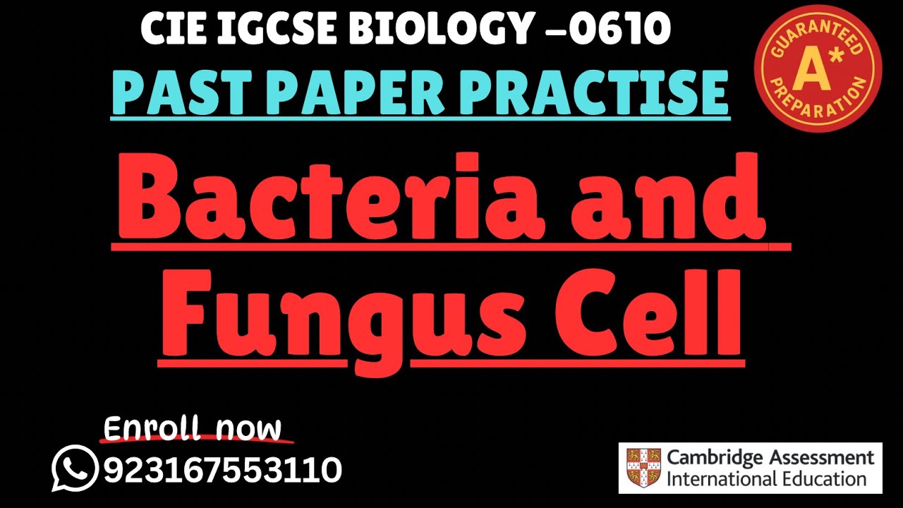 IGCSE Biology|Bacterial & Fungus Cell Past Paper Solution 