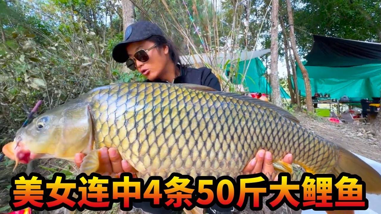 澜沧江野钓守大物，连中4条50斤大鲤鱼，退水前的狂口，又是收获满满的一天#游钓黑坑 #野钓 #原来钓鱼才是抖音运动顶流
