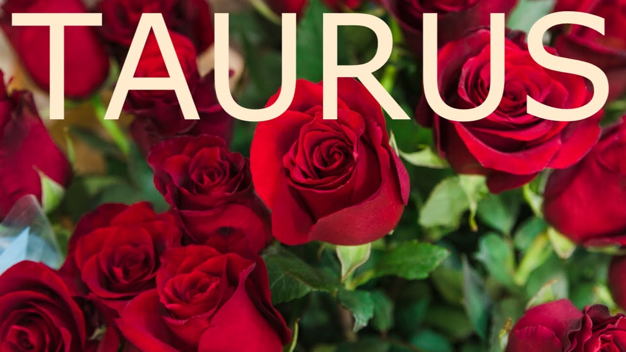 TAURUS TAROT READING! JULY 2024