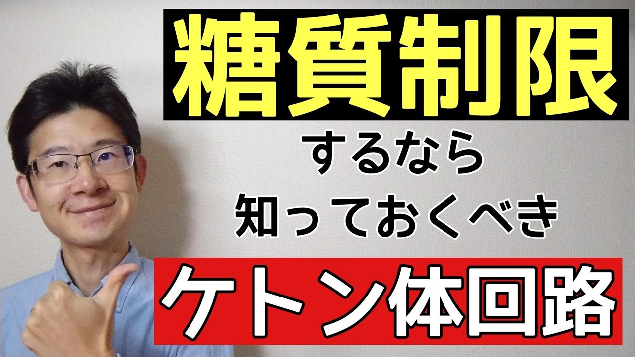 ケトン体回路？極端な糖質制限するなら知っておくべきエネルギーの仕組み