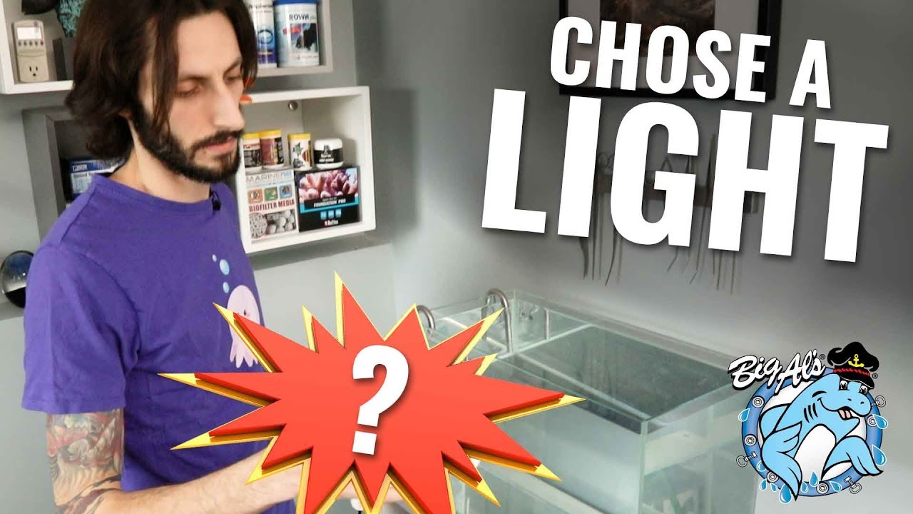How to Build a High-Tech Planted Tank &bull;&nbsp;Ep 03 | BigAlsPets.com