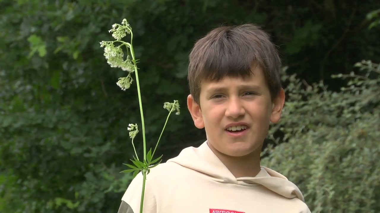 Naturfilmer Dammer Berge: 