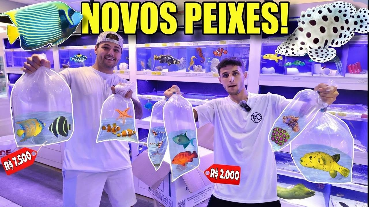 Comprando peixes incríveis para meu aquário de água salgada!