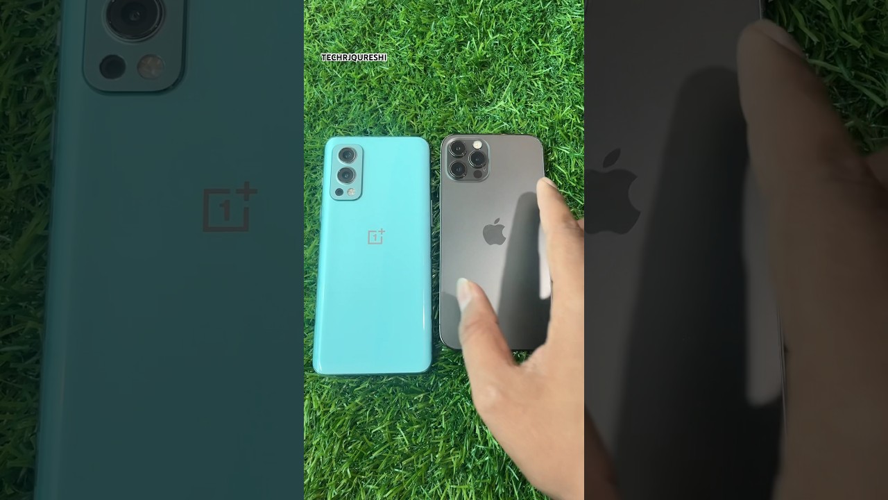 iPhone 12 Pro vs OnePlus Nord 2 5G❗️Camera Test❗️Who&rsquo;s The Best❓#trending #cameratest #shorts