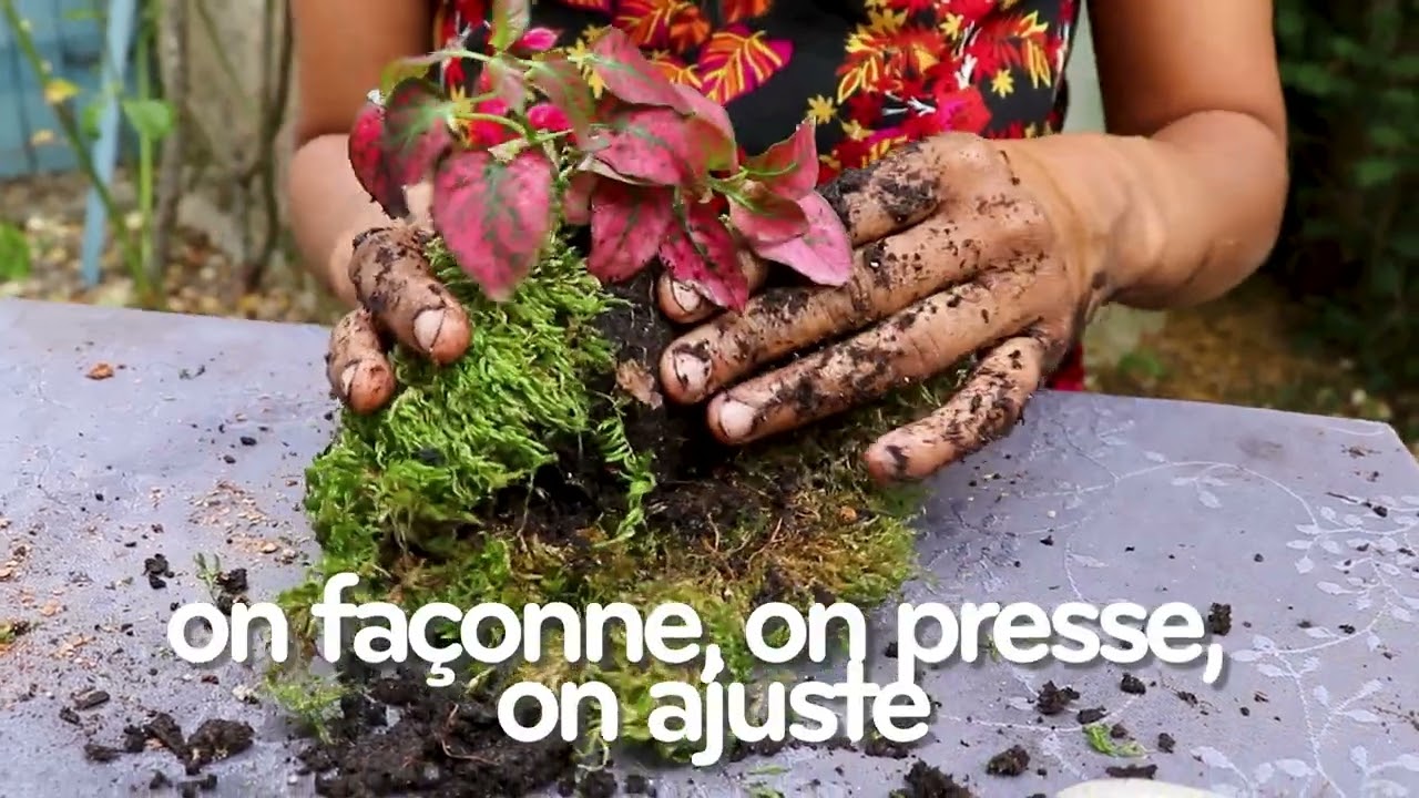 Méloke – Une rencontre avec le Kokedama 🌿