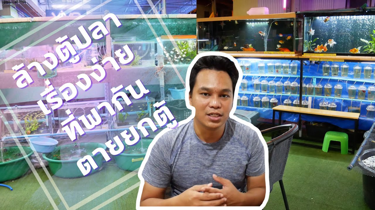 ล้างตู้เรื่องง่าย…ที่อาจพากันตายยกตู้ : ฮัลโหล พาเพลิน EP.10