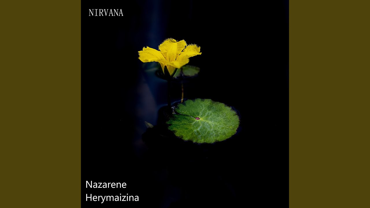 Nirvana (Remix)