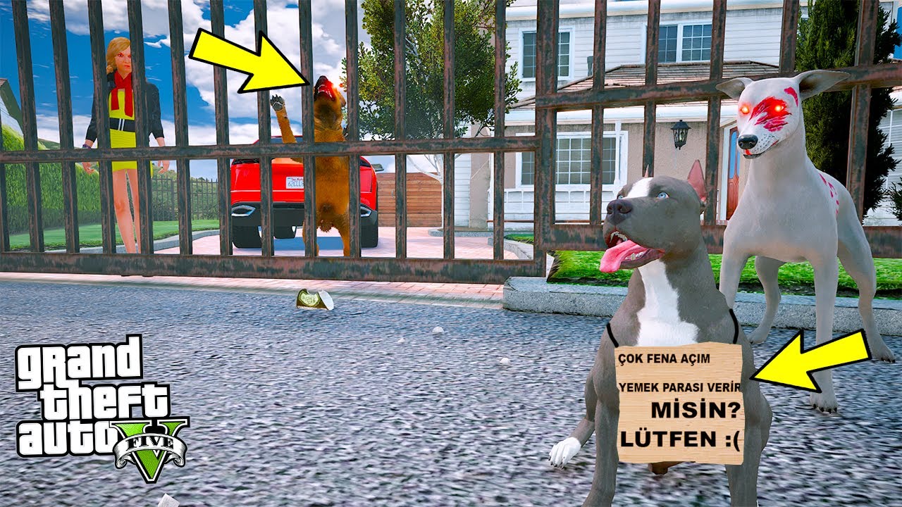 KATİL DOBERMAN AZRAİL YAVRU PİTBULL'U DİLENDİRİYOR! - GTA 5