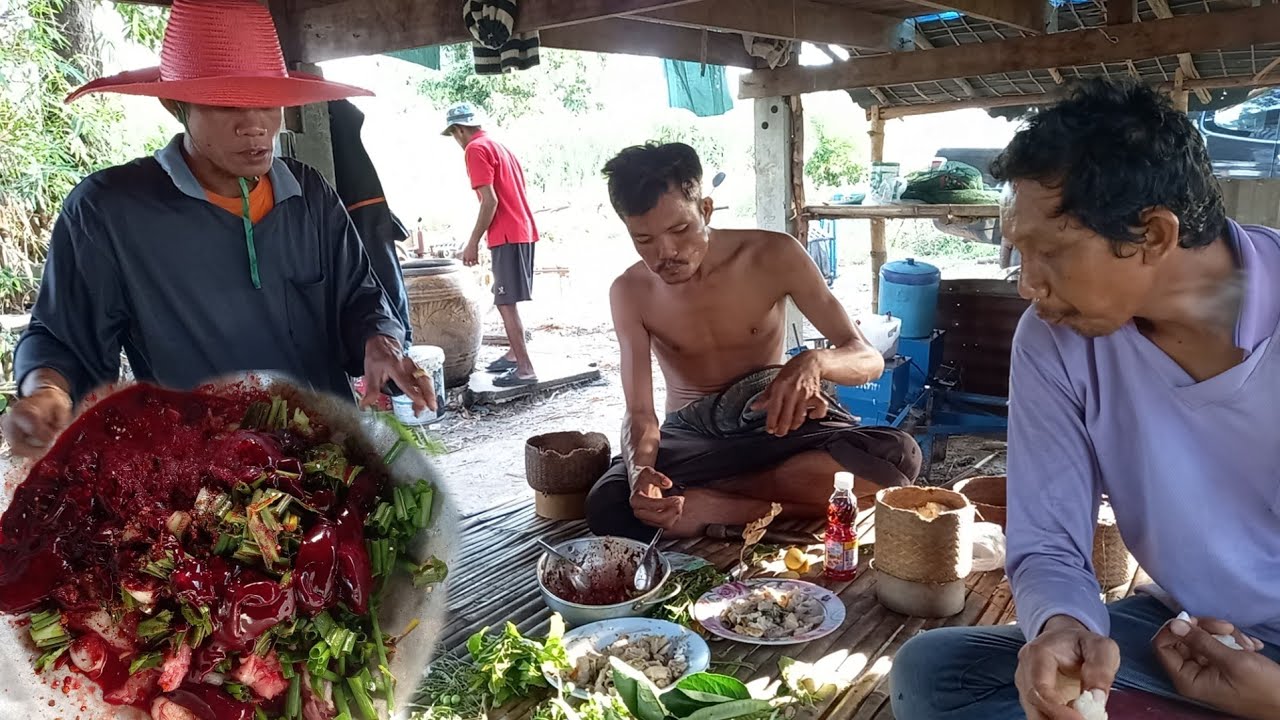 ครัวเถียงนาสายหลอน ก้อยหมู3ชั้นใส่เลือดเมนูเด็ด จุ๊ตับหมูสดๆแจ่วขมๆ ทีมงานหาเช้าเมาค่ำ