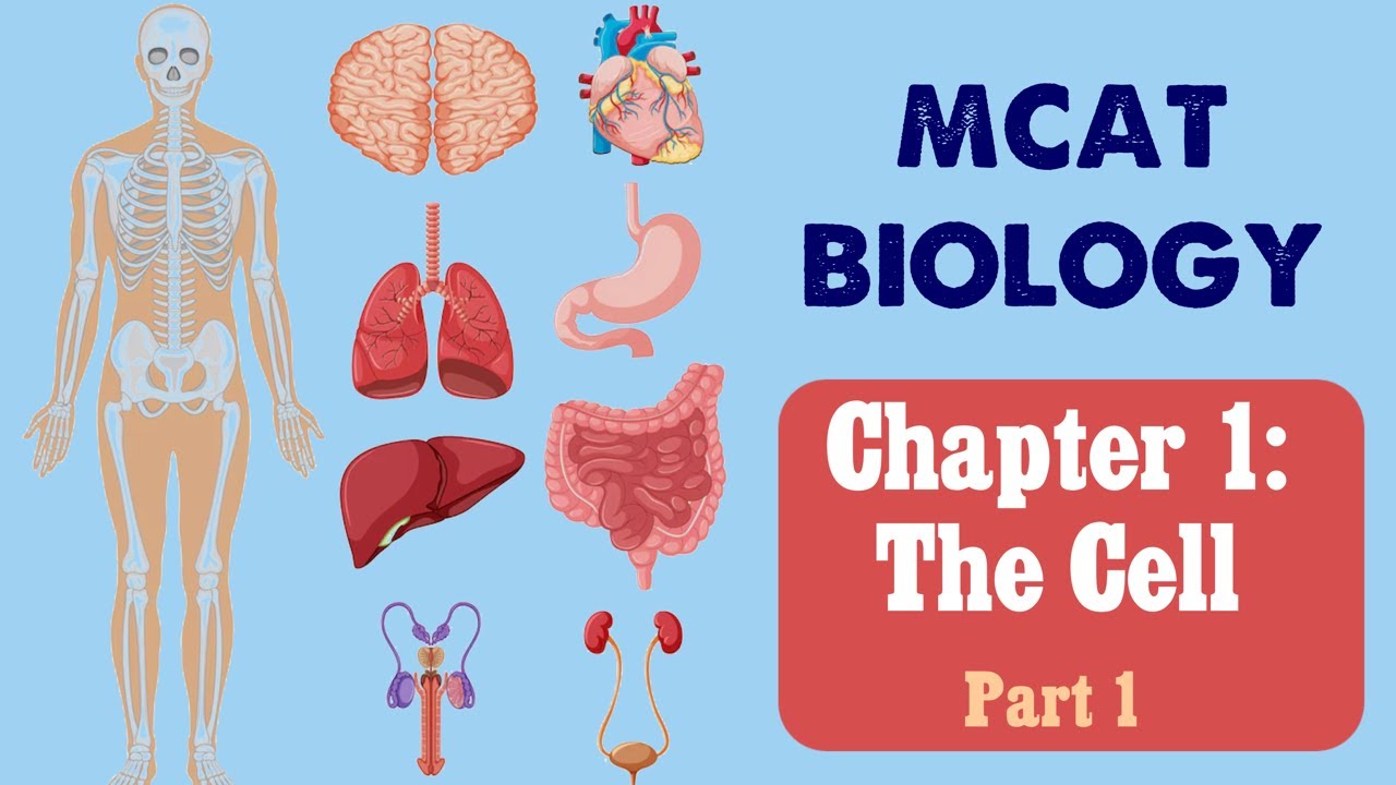 MCAT Biology: Chapter 1 - The Cell (1/2)