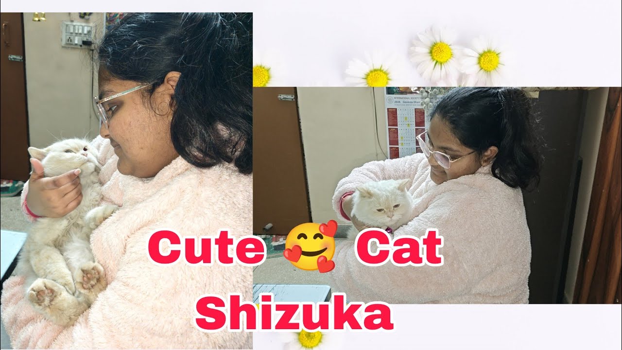 Meet Cute Cat 😺 Shizuka 😍❤️||Cute Cat||Cat Lover 💞