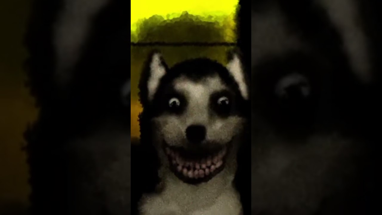 smile dog. jpg