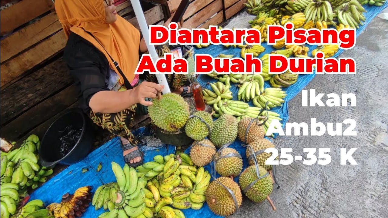 BUAH DURIAN DI SANA SINI !!! PASAR PAGI SUASANA BASAH !!! CONTENT FULL MINGGU