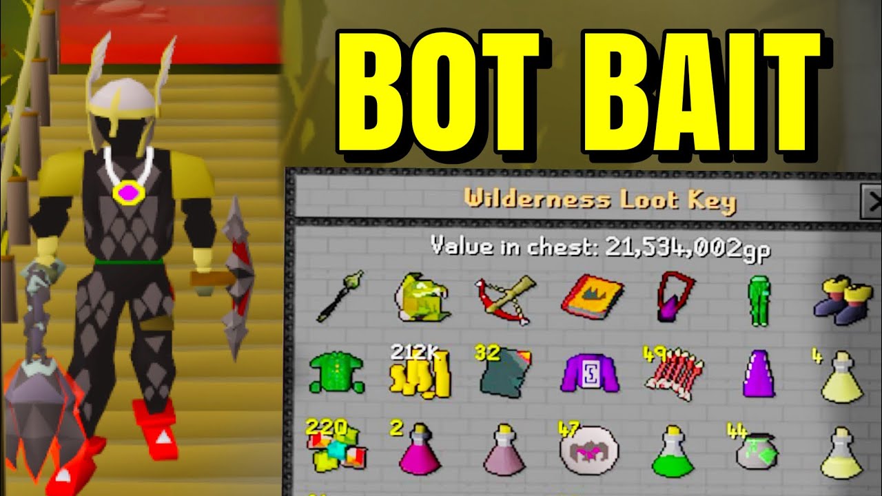 Pkers think im a BOT | Wilderness anti-pking