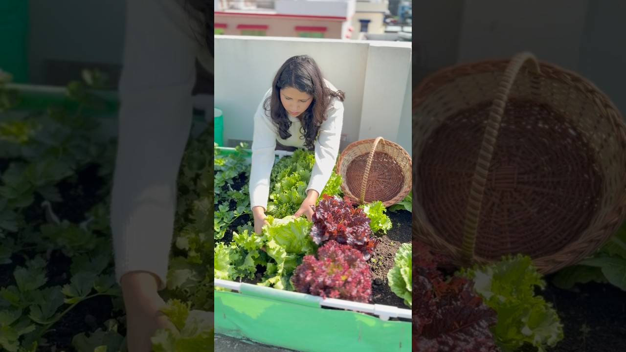 Start your winter garden with me 🥕🌱 I&rsquo;ll be sharing the whole journey with you❤️ #garden #winter
