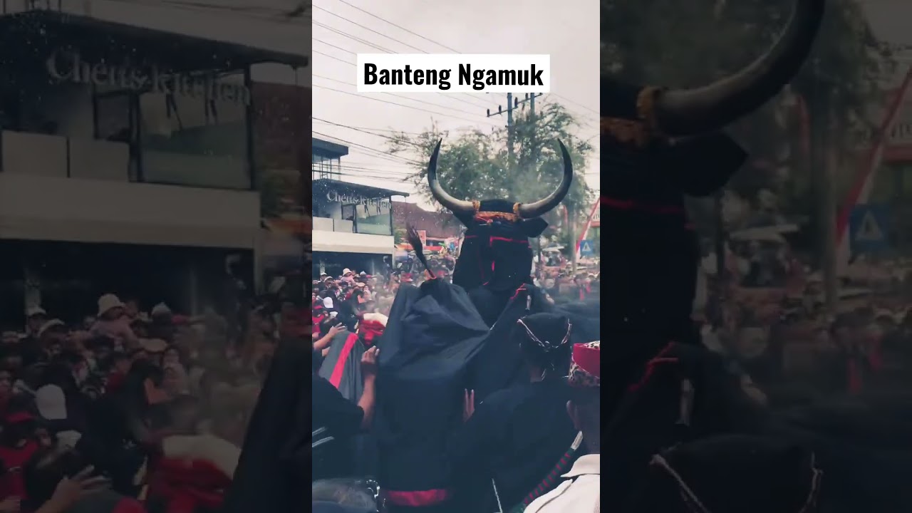 Bantengan Nuswantara Kota Batu..#dewankeseniankotabatu #bantengankotabatu #bantengannuswantara