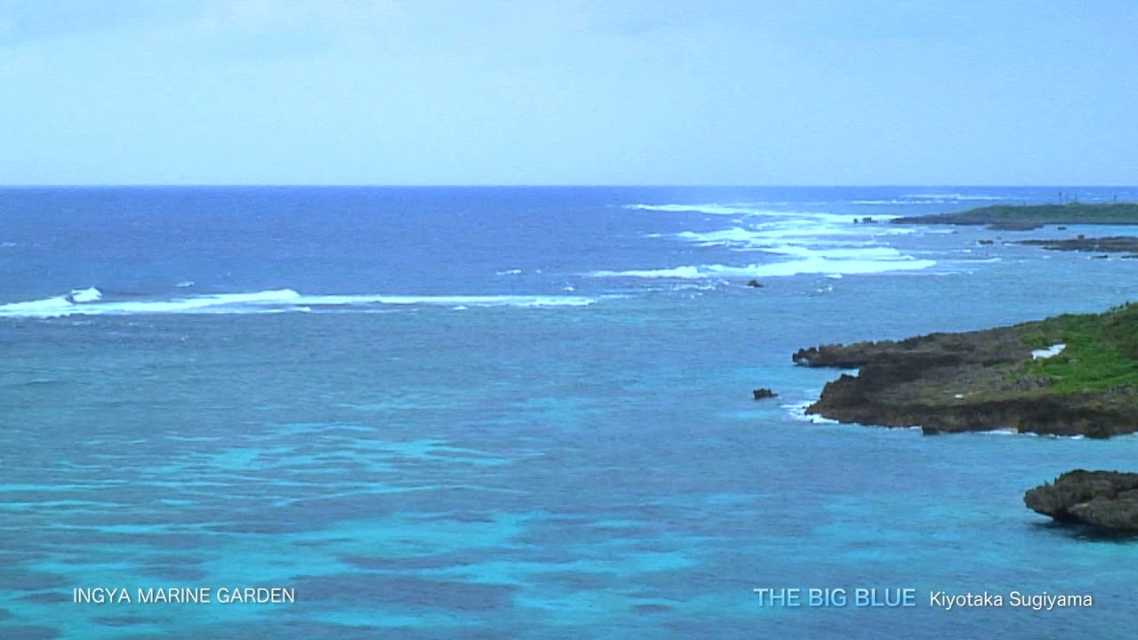 杉山清貴  THE BIG BLUE / Kiyotaka Sugiyama