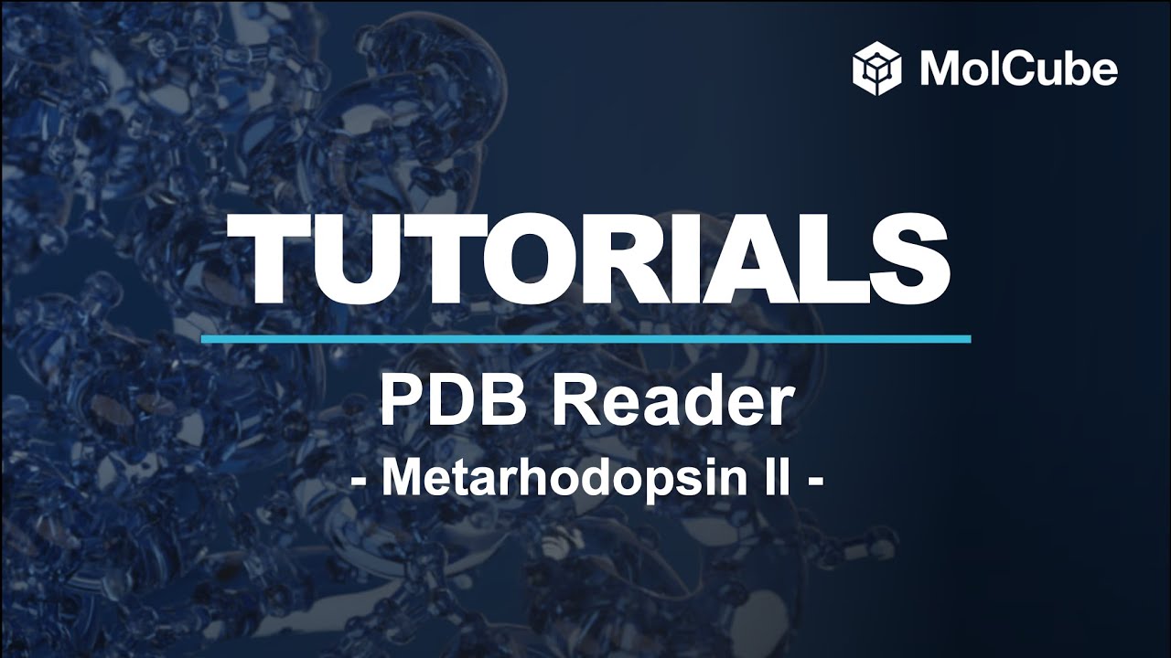 01. PDBReader - Metarhodopsin II